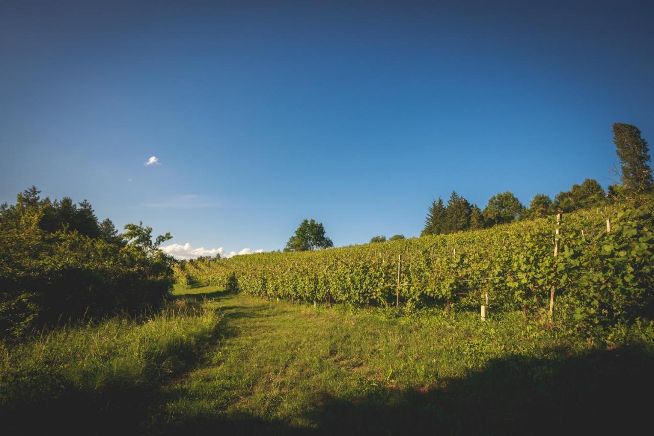 Villa La Meridiana Alba  Eksteriør billede